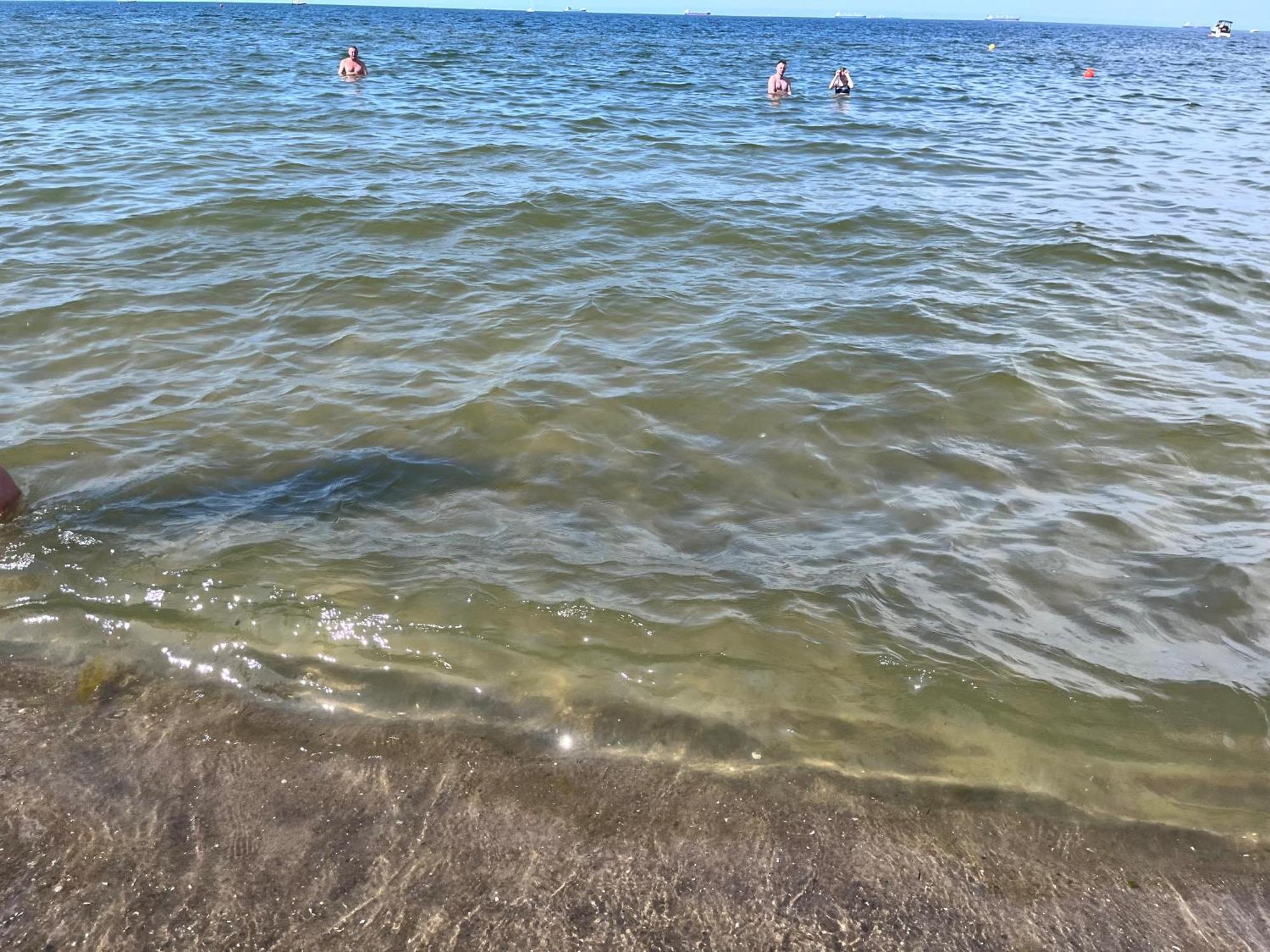Pod Zaglami Gdansk Brzezno Daire Dış mekan fotoğraf